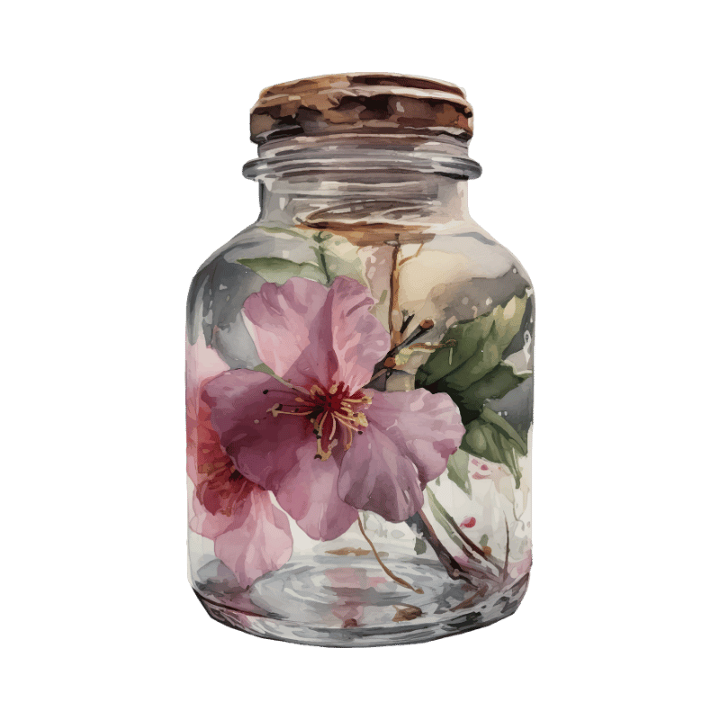 A small glass jar with a cork lid, containing a beautiful pink flower and green leaves, illustrated in a watercolor style.