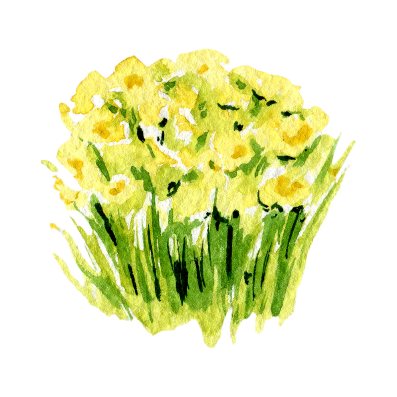 A watercolor painting of a bouquet of yellow flowers with lush green leaves. This image is intended to garnish the poem 'Do It Anyway' by Mother Teresa, symbolizing growth, optimism, and the beauty of doing good despite challenges.