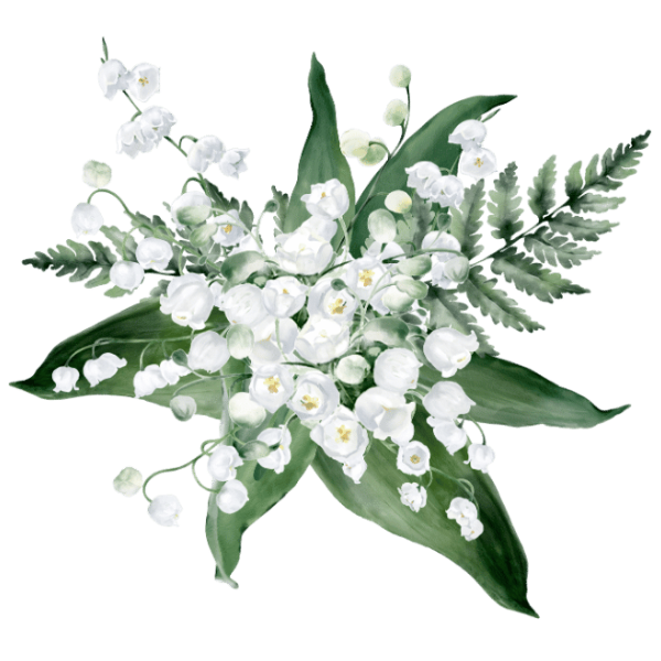 Category Image