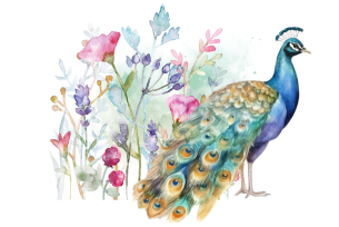 A watercolor illustration of a peacock standing beside blooming flowers.