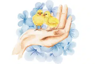 Illustration of two yellow chicks resting on an open hand with a floral background.