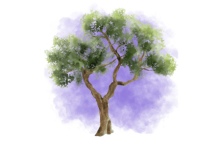 A watercolor illustration of a large, flourishing tree with green leaves, symbolizing growth and connection.