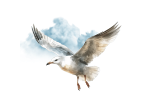 A seagull soaring in the sky with wings spread wide, symbolizing freedom and peace.