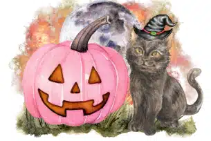 A pink carved pumpkin with a smiling face next to a black cat wearing a witch hat, with a full moon in the background.