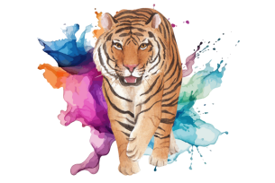 A watercolor illustration of a tiger walking forward with vibrant splashes of color in the background.