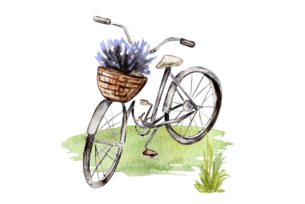 A watercolor illustration of a vintage bicycle with a basket of flowers, placed on a grassy field.